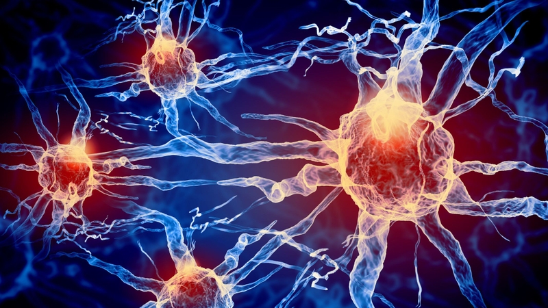 Khi các dây thần kinh bị suy giảm chức năng dẫn truyền cảm giác, dẫn đến cảm giác tê râm ran, châm chích