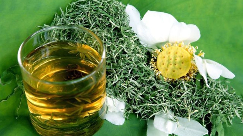 5 cách chữa thiếu máu lên não với bài thuốc dân gian 3