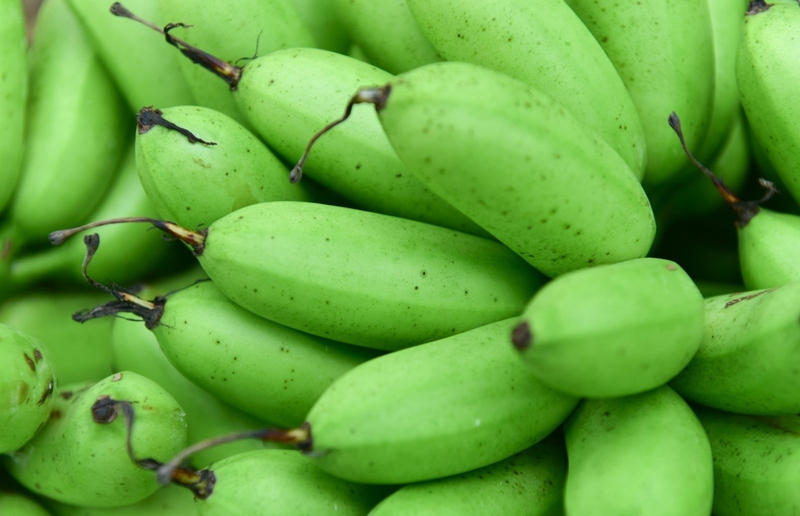 Cách chữa trào ngược dạ dày bằng chuối xanh