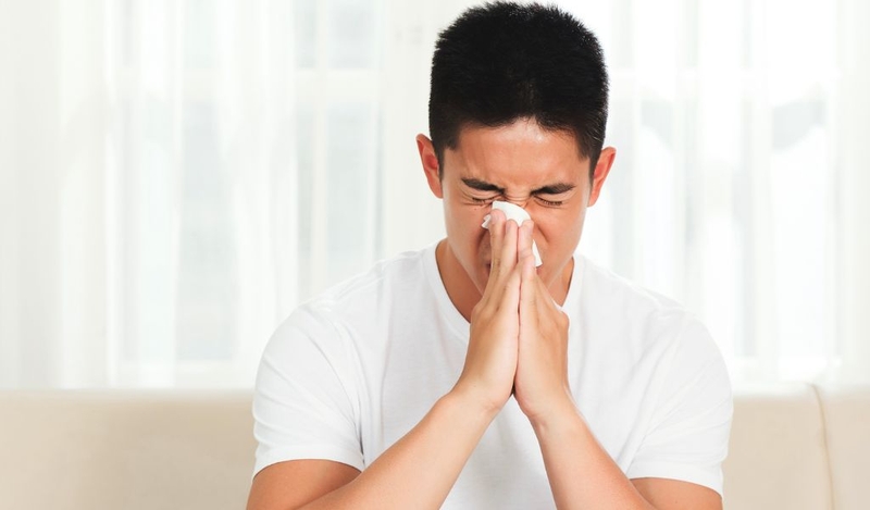 Cách chữa viêm xoang bằng lá lốt có hiệu quả không? Cần lưu​​ ý những gì? 1