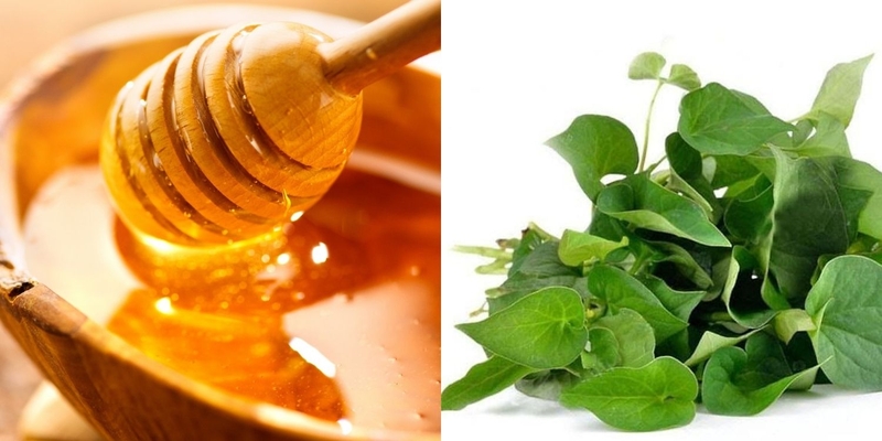 Cách chữa viêm xoang bằng rau diếp cá đơn giản, hiệu quả mà bạn có thể áp dụng tại nhà 4