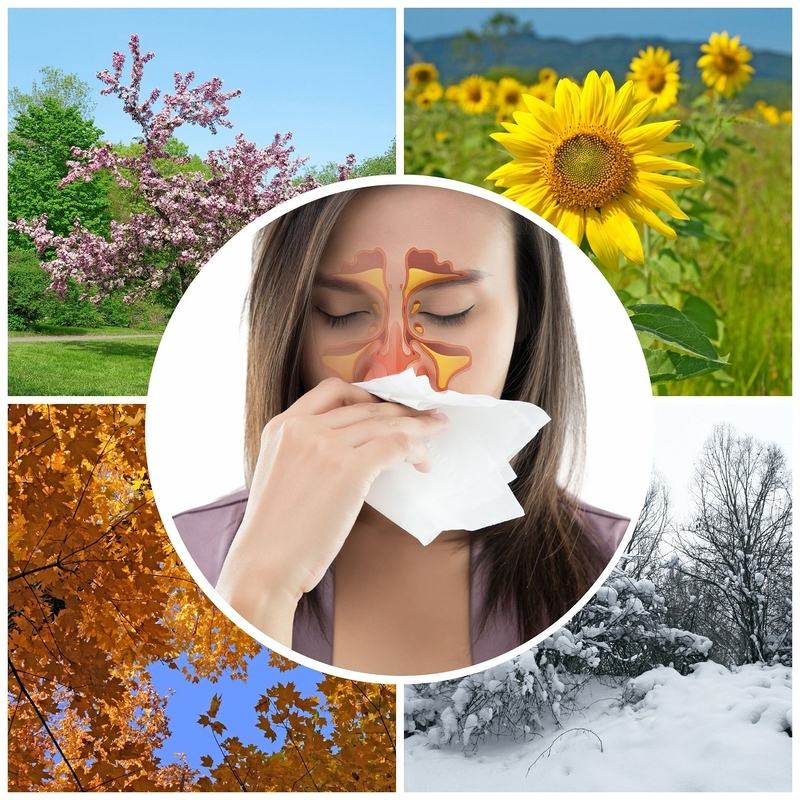 cách chữa viêm xoang mũi dị ứng tại nhà? Nguyên nhân gây viêm xoang mũi quanh năm2