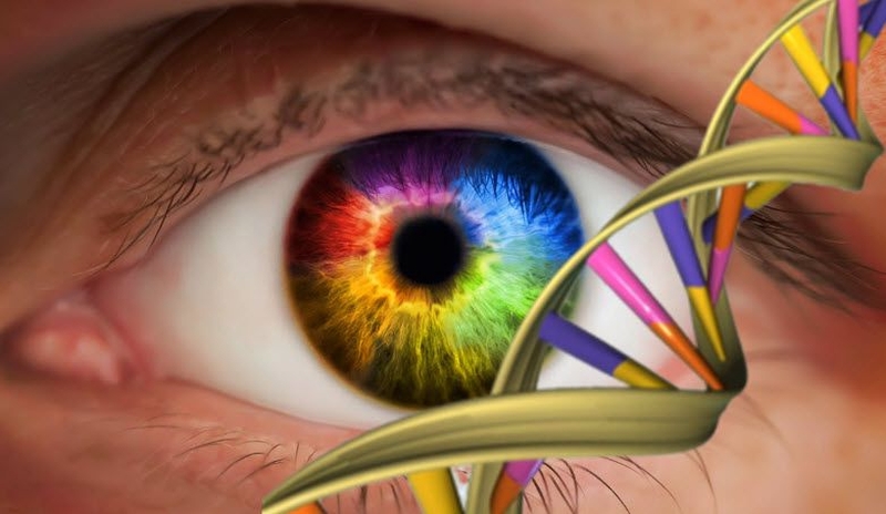 Cách chúng ta nhìn nhận màu sắc có giống nhau? 3