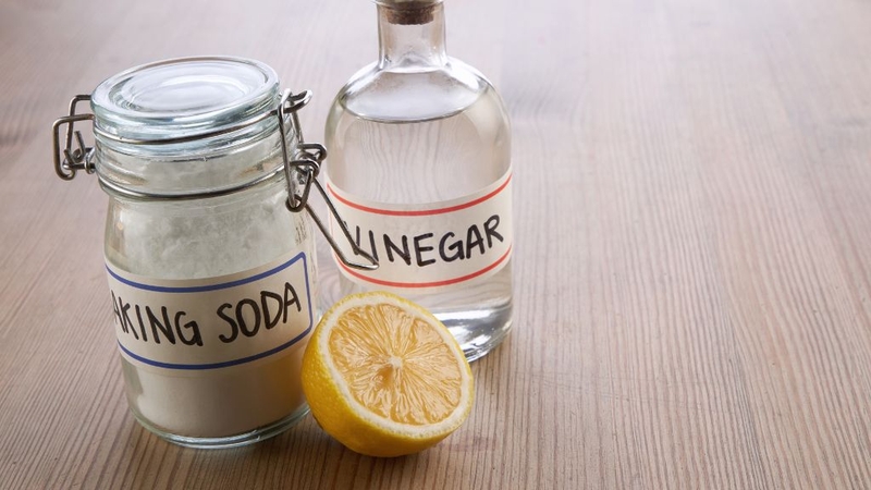 Cách diệt lăng quăng và những điều cần biết 3