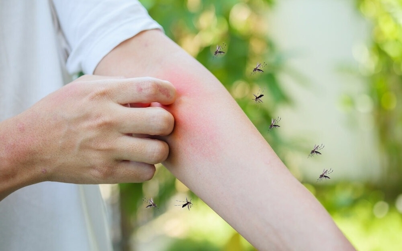 cach-dieu-tri-benh-sot-xuat-huyet-o-nguoi-lon 2.jpg