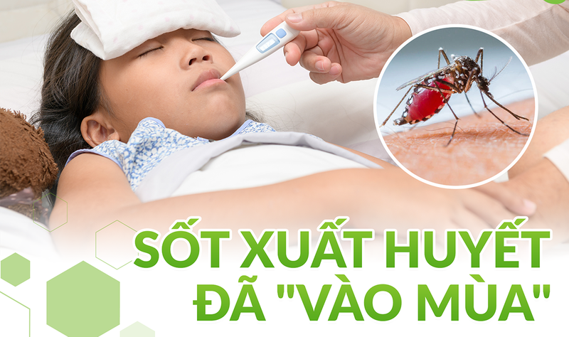 Cách điều trị sốt xuất huyết tại nhà đúng cách2