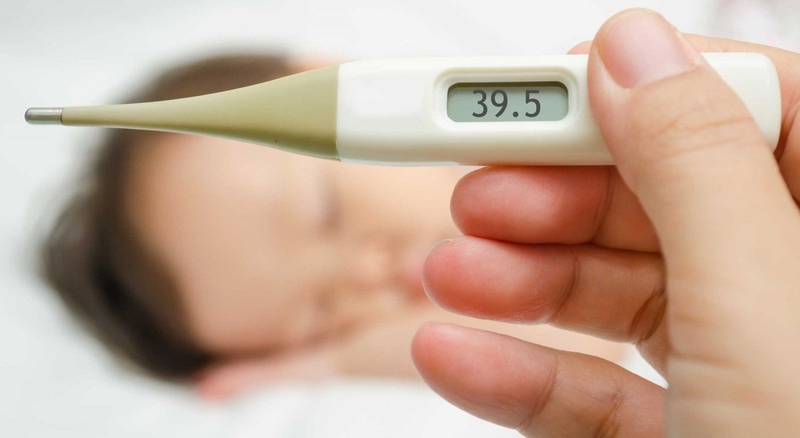 Cách điều trị sốt xuất huyết tại nhà đúng cách3