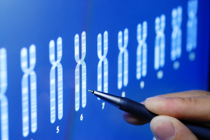 Karyotype là gì? Hướng dẫn chi tiết cách đọc Karyotype 2