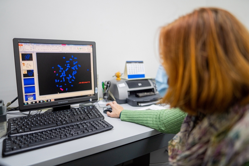 Karyotype là gì? Hướng dẫn chi tiết cách đọc Karyotype 3