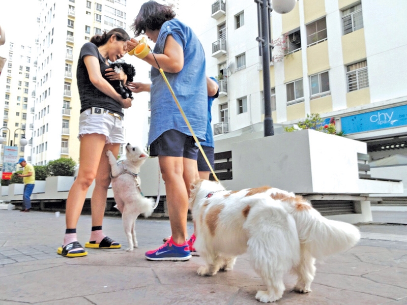 cách đốt calo nhanh nhất 10