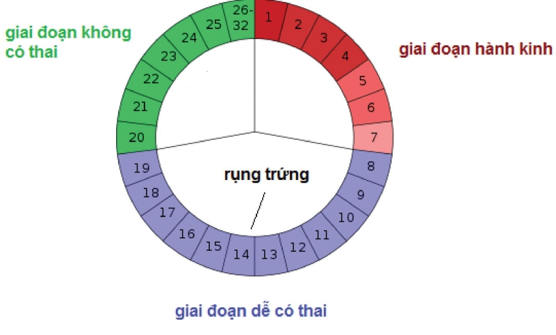 Cách dựa vào chu kì kinh nguyệt để tính ngày tránh thai an toàn 2