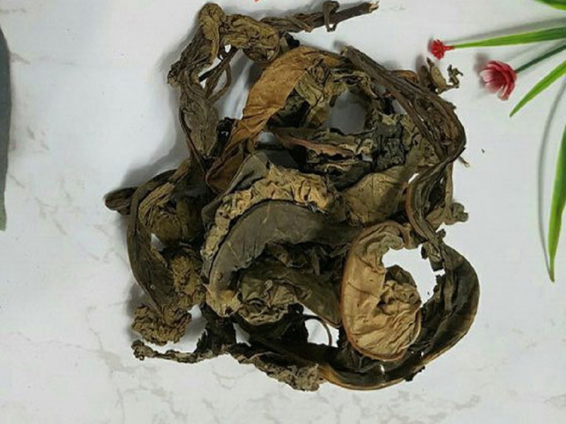 Cách dùng cây xăng sê chữa trào ngược dạ dày an toàn và hiệu quả 3