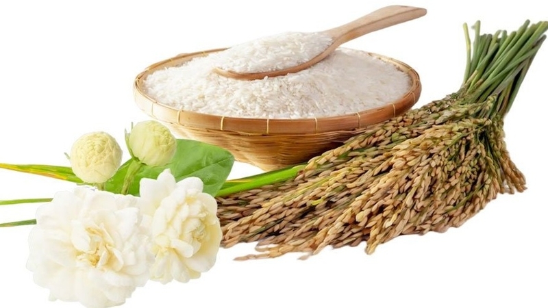 Cách dùng húng quế chữa mất ngủ và những điều cần biết