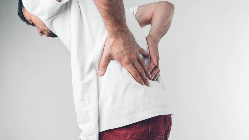 Cách dùng lá chìa vôi chữa thoát vị đĩa đệm hiệu quả 1