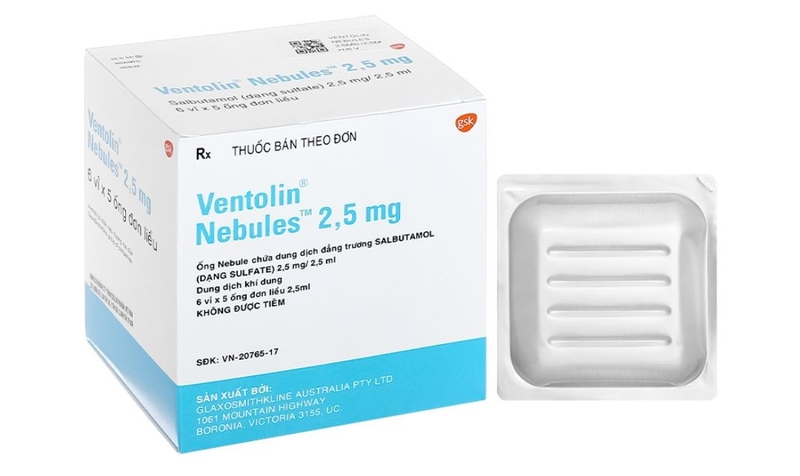 Cách dùng thuốc khí dung ventolin và pulmicort chính xác, hiệu quả nhất 1