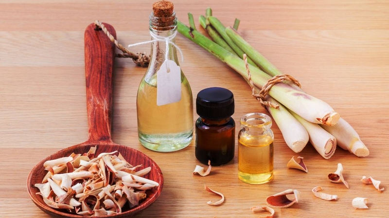 Cách Đuổi Dĩn (Bọ Mát) Mà Bạn Nên Biết 3