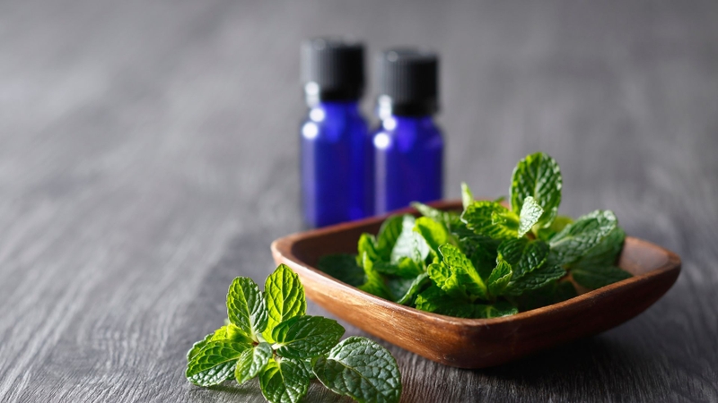 Bạn có thể sử dụng tinh dầu bạc hà xịt để xua đuổi gián