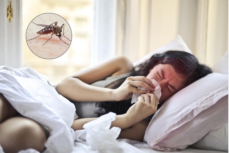 Cách giảm đau đầu khi sốt xuất huyết-1