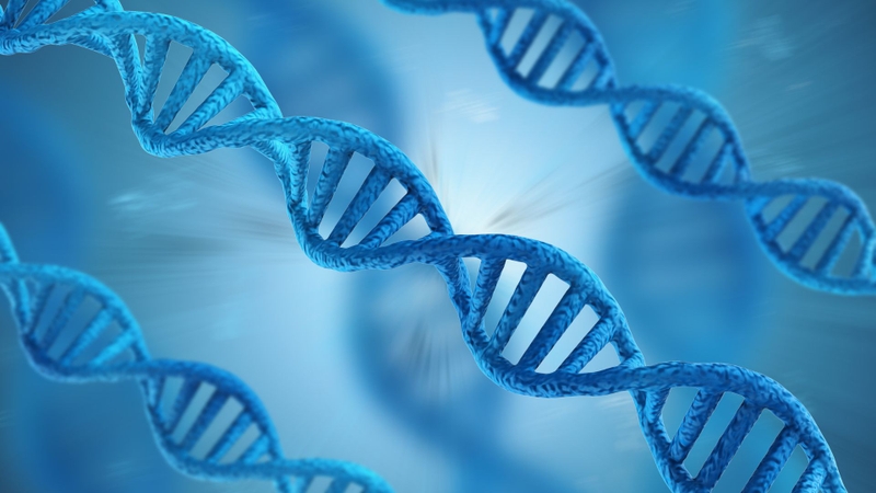 Cách giảm mỡ chân cho học sinh vừa hiệu quả vừa an toàn ngay tại nhà 2