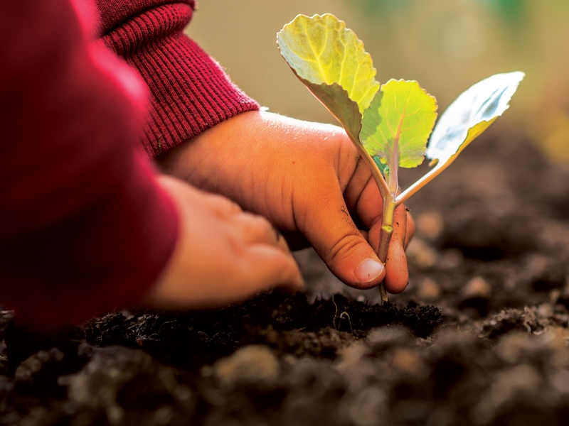 Cách giữ lại cuống rốn trẻ sơ sinh theo dân gian và hiện đại 3