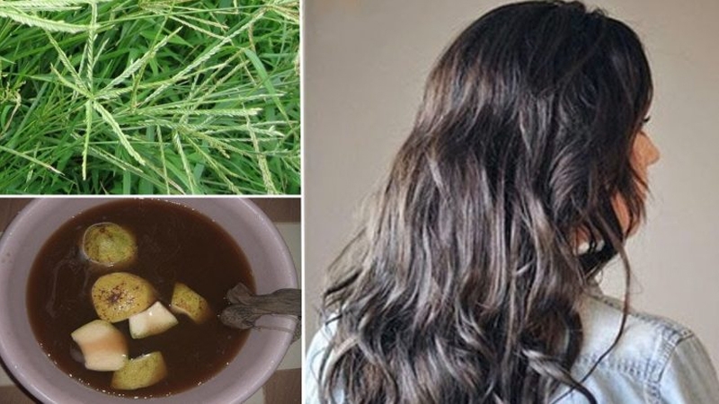 Sử dụng kết hợp nước cỏ mần trầu với một số thành phần khác để gấp đôi dưỡng chất bổ sung tóc