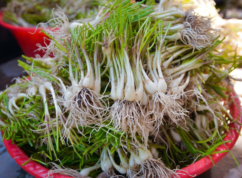 cách làm củ kiệu 1