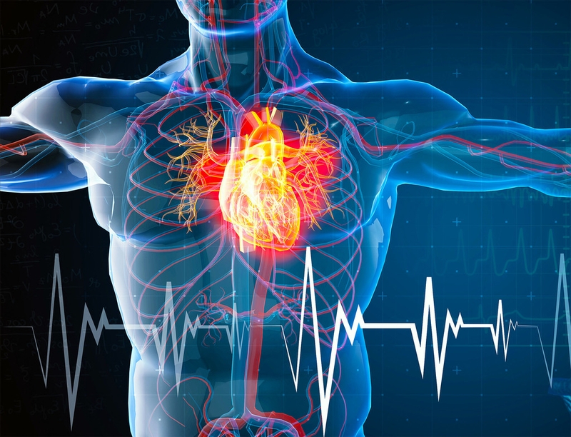 Cách làm đàn ông lên đỉnh trong quan hệ tình dục như thế nào?  4