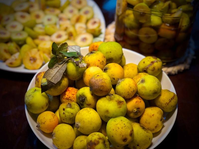 Cách làm giấm táo mèo giảm cân an toàn, hiệu quả 2