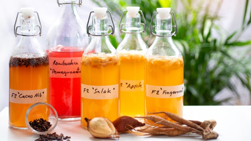 Cách làm Kombucha F2 tại nhà đơn giản và an toàn - Hình 3