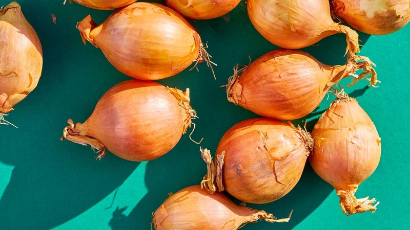 Cách làm lông mày rậm bằng hành tây đúng cách tại nhà1