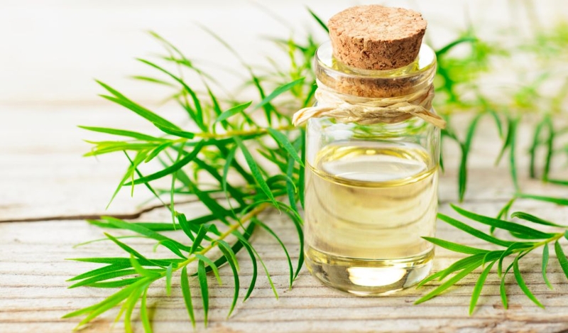 Cách làm mụn bọc nhanh chín đơn giản, hiệu quả và lành tính 3