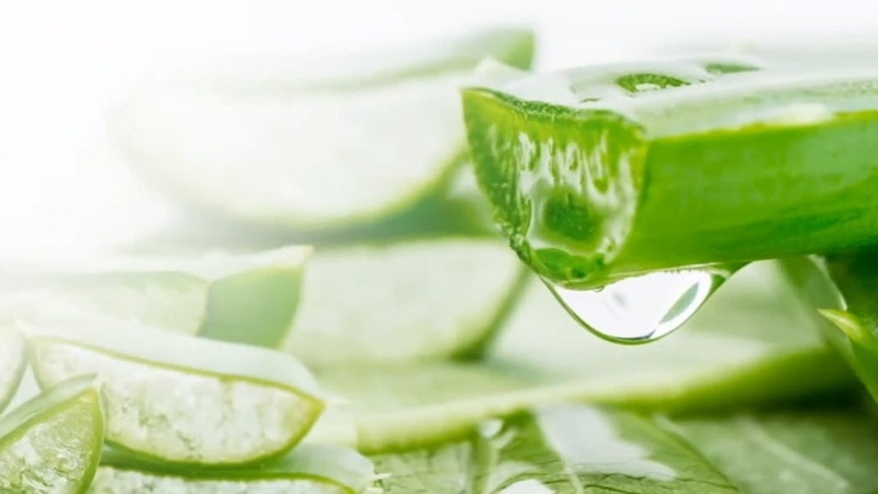 Cách làm nước hoa hồng bằng nha đam đơn giản tại nhà 3