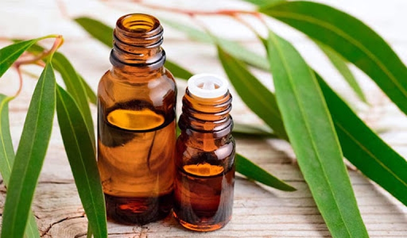 Những cách làm nước xịt chống muỗi đơn giản