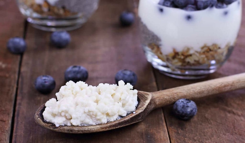 Cách làm sữa chua hy lạp từ nấm kefir có lợi cho hệ tiêu hoá 3