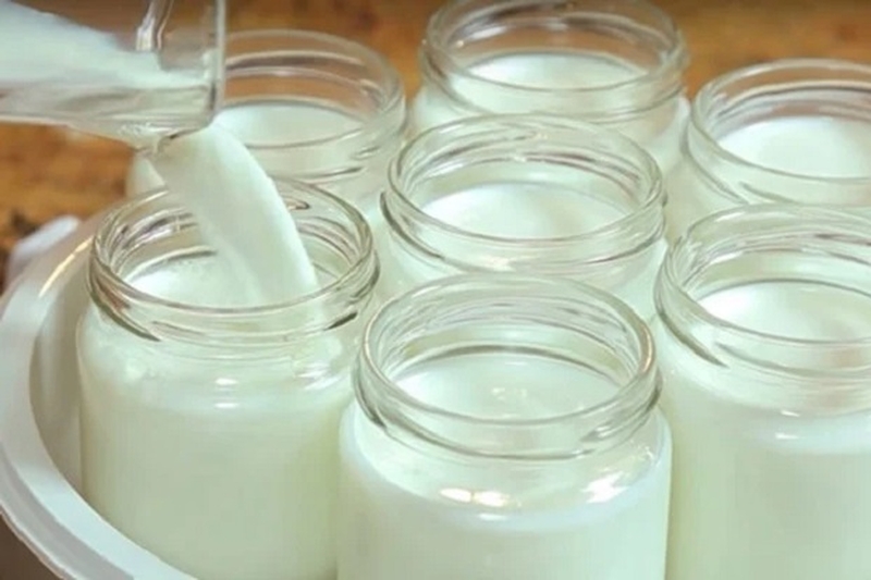 Cách làm sữa chua không cần ủ