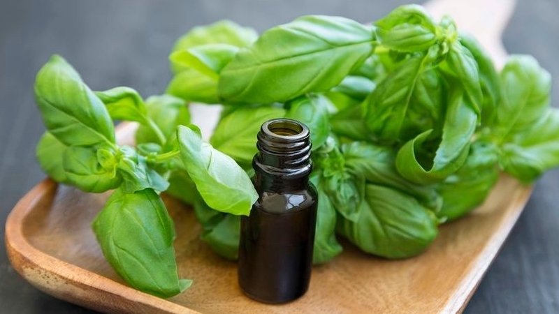 cach-lam-tinh-dau-hung-que-tai-nha1 Cropped.jpg