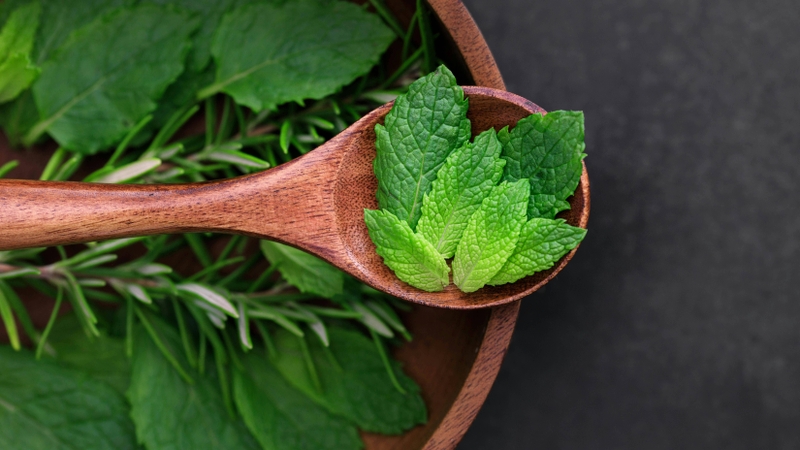 Lá bạc hà kết hợp với một số thảo mộc khác là một cách mix các loại trà thảo mộc