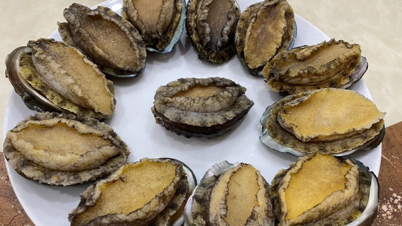 Bào ngư giàu dinh dưỡng, hàm lượng đạm cao, giàu vitamin và khoáng chất thiết yếu