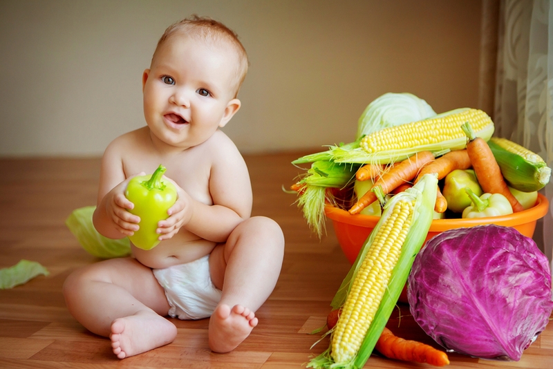 Cách nấu cháo bắp cải tím cho bé ăn dặm giàu dinh dưỡng