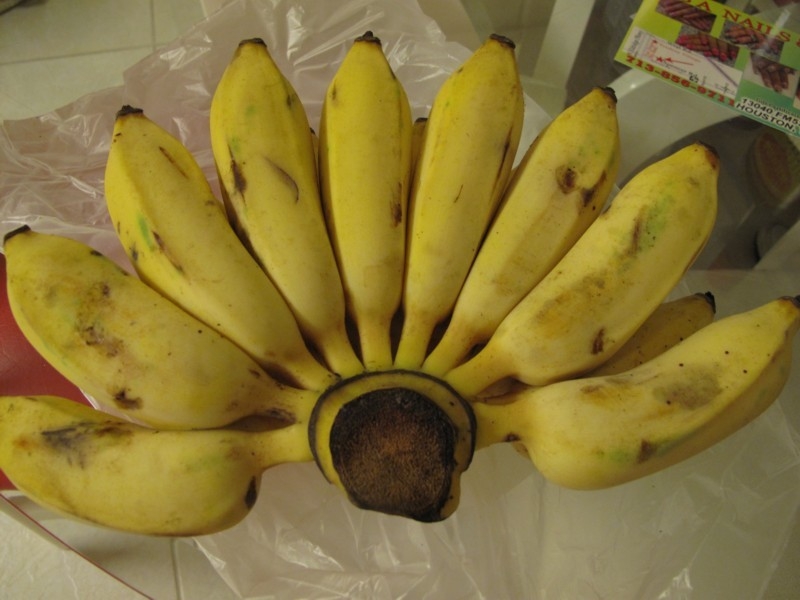 Cách nấu chè chuối bột báng nước cốt dừa thơm béo, hấp dẫn-1