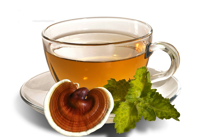 Cách nấu nước nấm Linh Chi đơn giản và hiệu quả 2