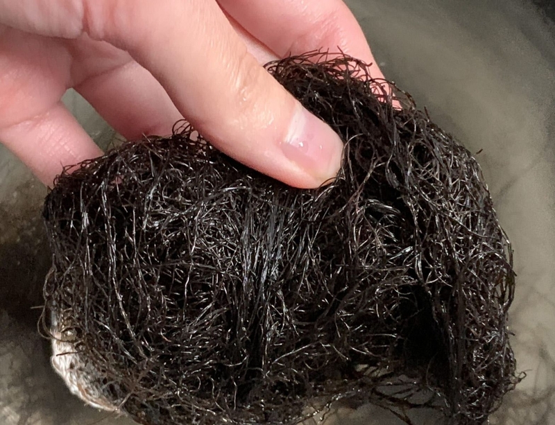 cách nấu súp cua 3