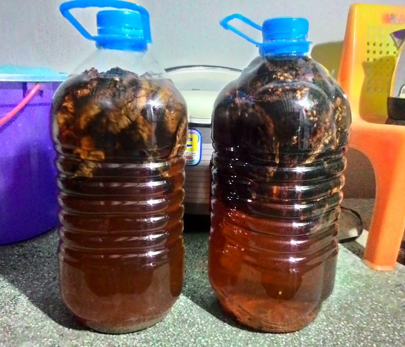 Rượu chuối hột tự ngâm