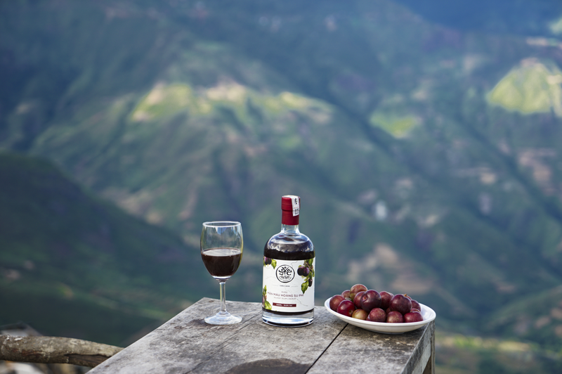 Rượu mận mang lại nhiều lợi ích cho sức khỏe