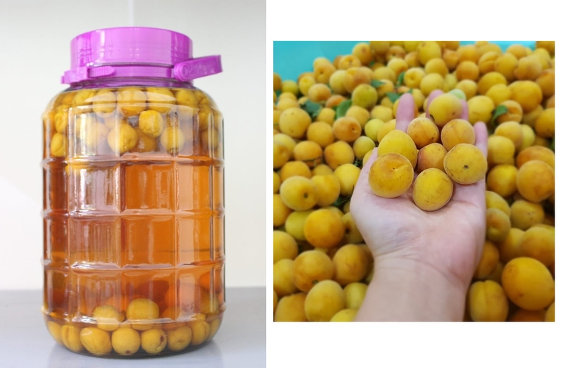 cách ngâm rượu mơ 2