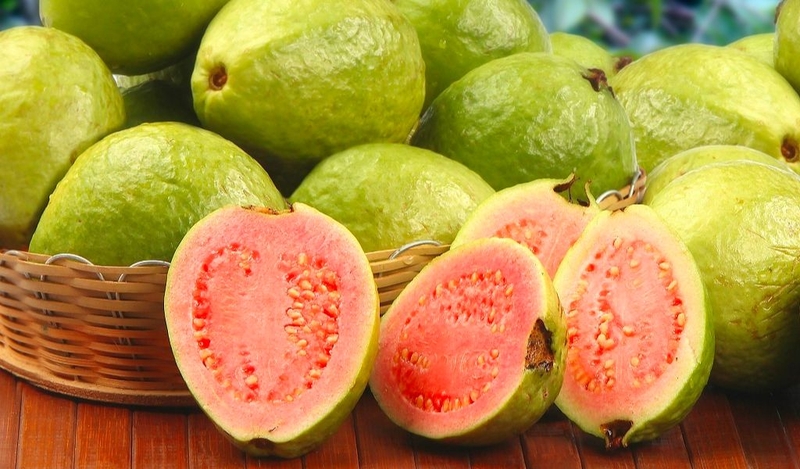 Cách ngâm rượu ổi thơm ngon, đúng chuẩn và tốt cho sức khỏe 1