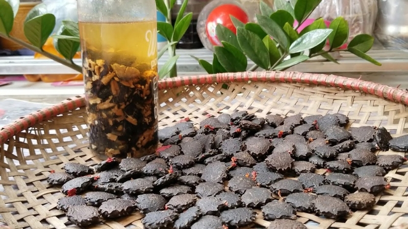 Cách ngâm rượu xoa bóp xương khớp hiệu quả theo dân gian 4