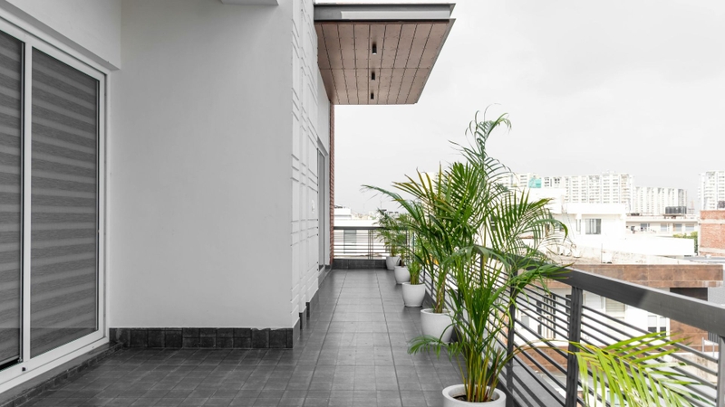 Sống nhà cao tầng vẫn có nguy cơ bị kiến ba khoang xâm nhập