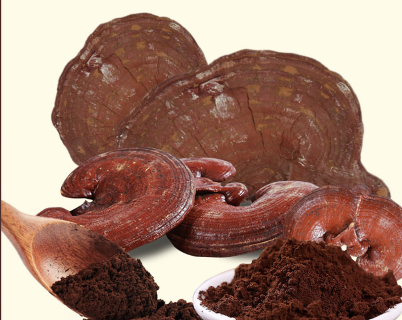 Cách nhận biết nấm linh chi đơn giản 2