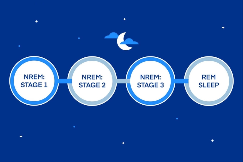 Những giai đoạn chính của giấc ngủ